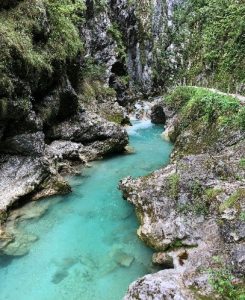 Proteusovo tekmovanje