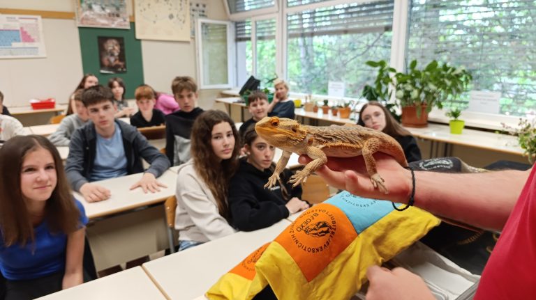 Učenci opazujejo kuščarja v razredu.